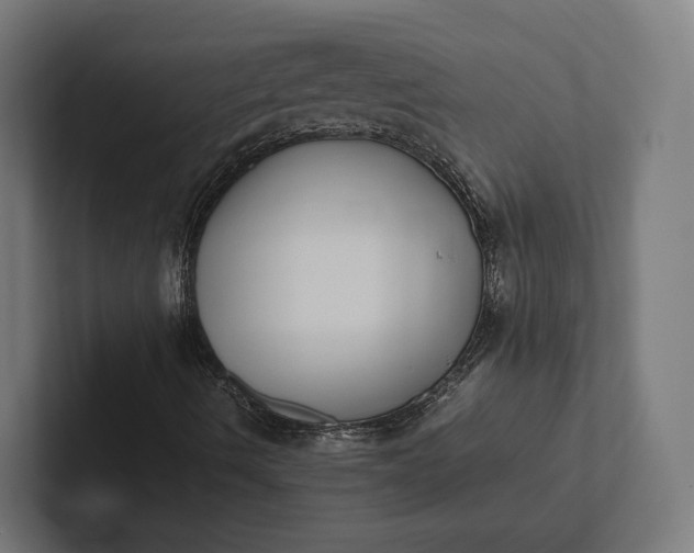 X0000101991490200808011050