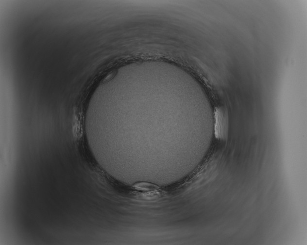 X0000101991491200808011050