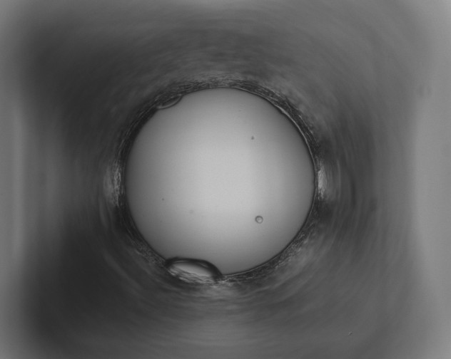 X0000101991492200808011050