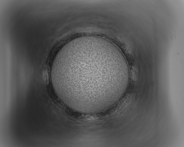 X0000101991493200808011050