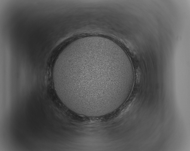 X0000101991494200808011050