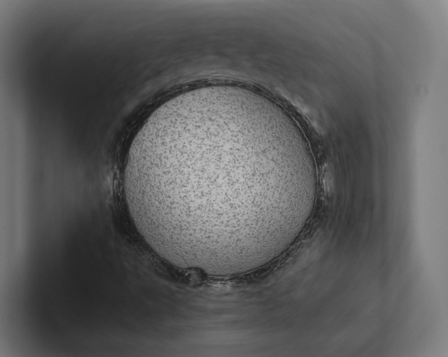 X0000101991495200808011050