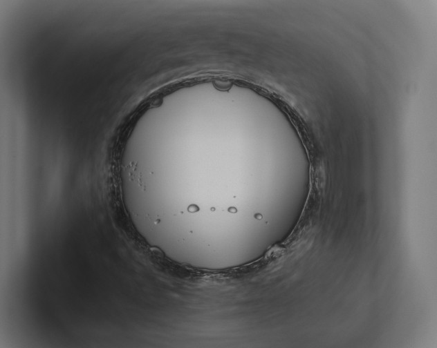 X0000101991496200808011050