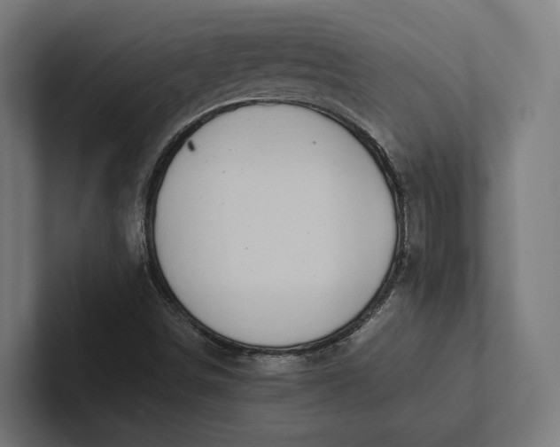 X0000101991498200808011050