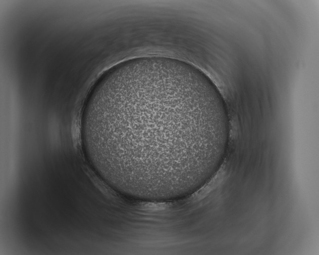 X0000101991499200808011050