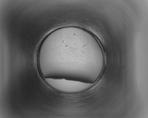 X0000101991500200808011050