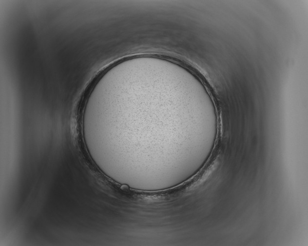 X0000101991501200808011050