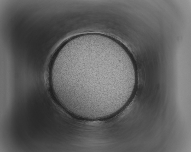 X0000101991502200808011050