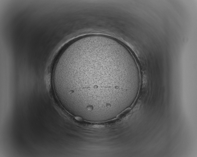 X0000101991503200808011050