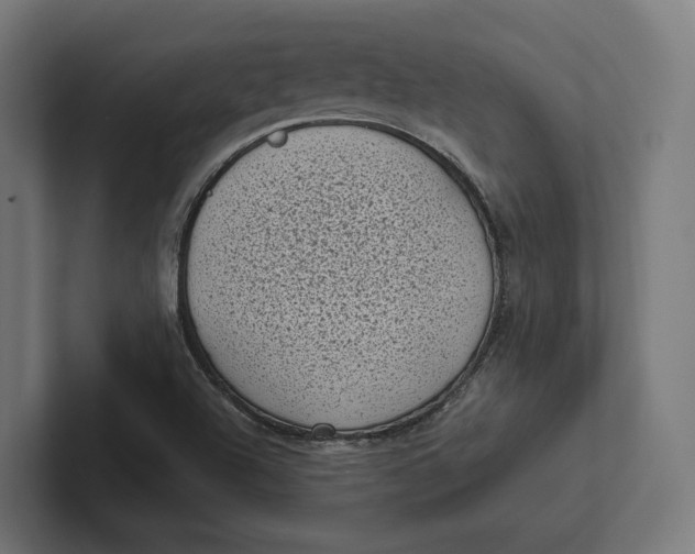 X0000101991504200808011050