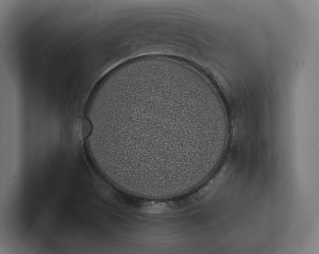 X0000101991505200808011050