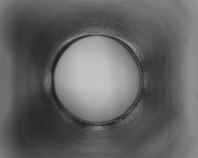 X0000101991507200808011050