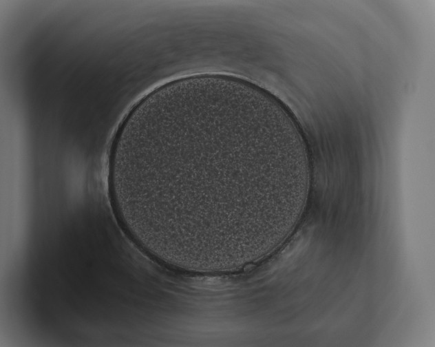 X0000101991508200808011050