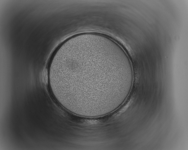 X0000101991509200808011050