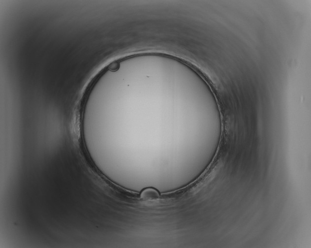 X0000101991510200808011050