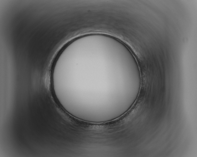 X0000101991511200808011050