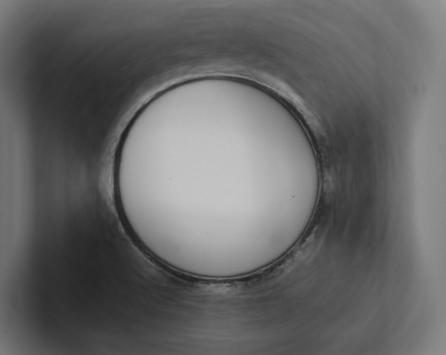 X0000101991512200808011051