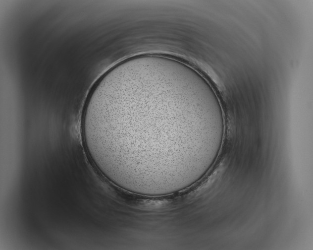 X0000101991513200808011051