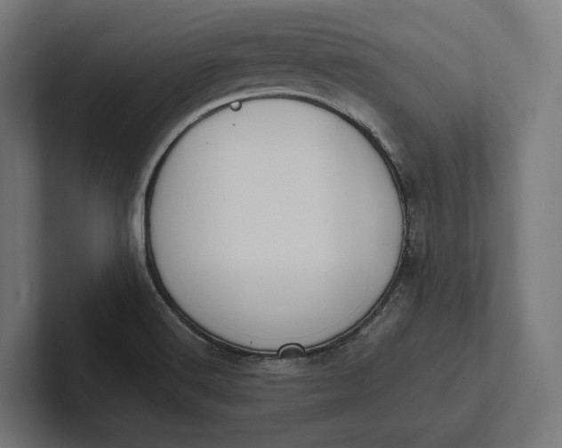 X0000101991516200808011051