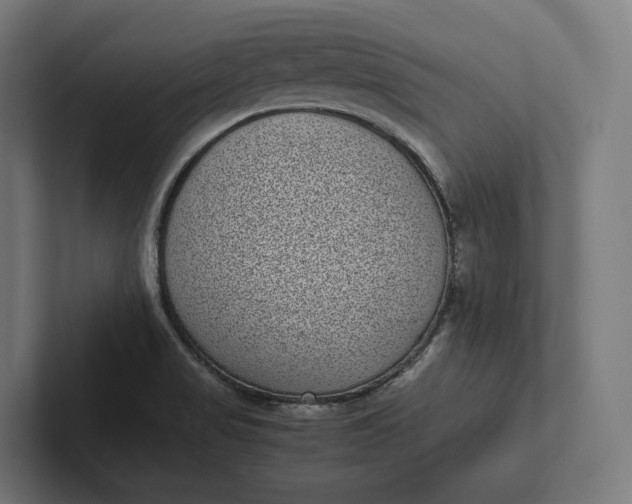 X0000101991517200808011051