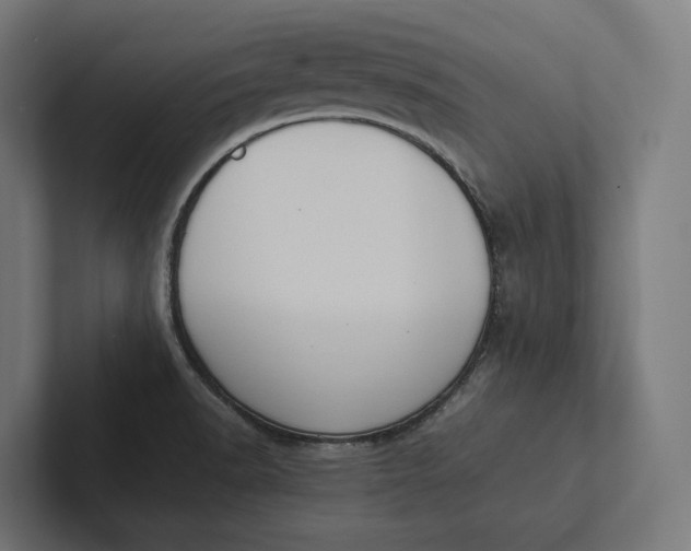 X0000101991518200808011051