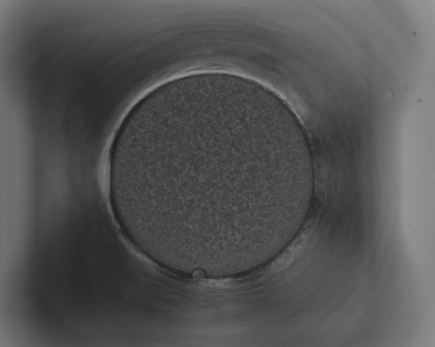 X0000101991519200808011051