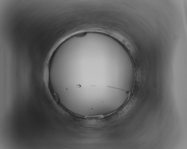 X0000101991520200808011051