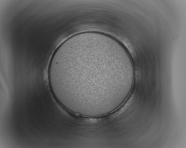 X0000101991521200808011051