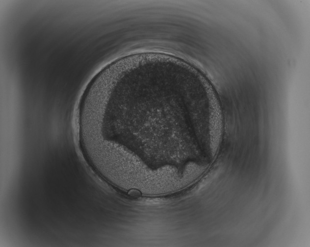 X0000101991522200808011051