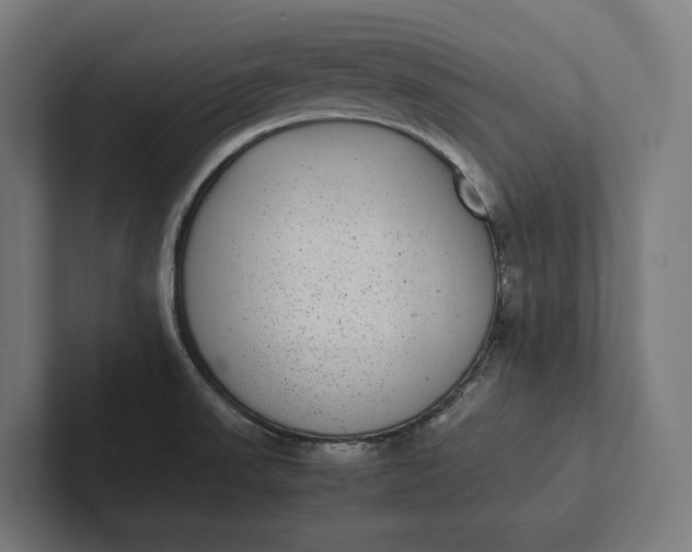 X0000101991523200808011051