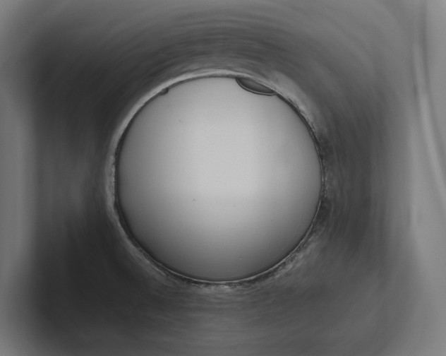 X0000101991524200808011051