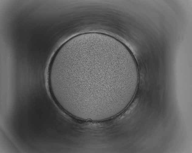 X0000101991525200808011051