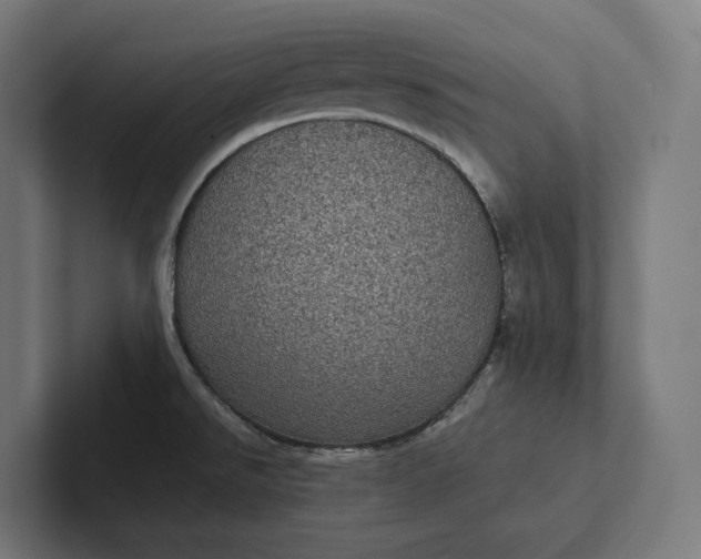 X0000101991526200808011051