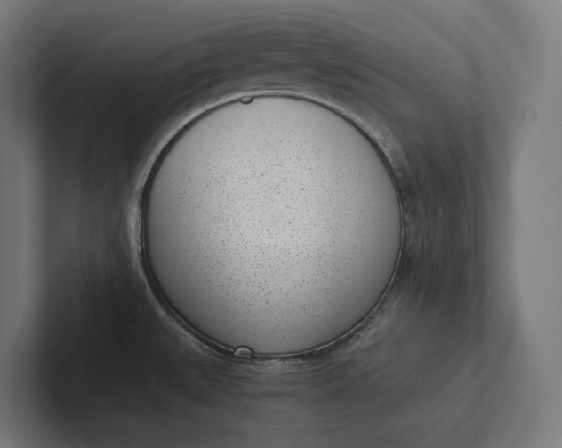 X0000101991527200808011051