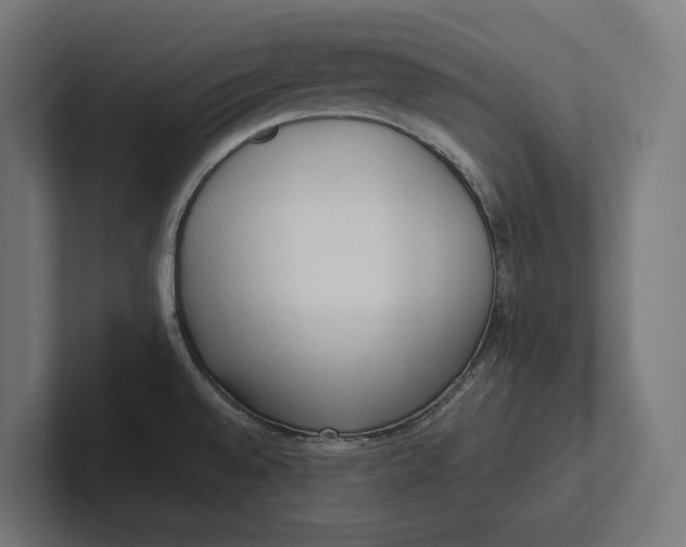 X0000101991528200808011051