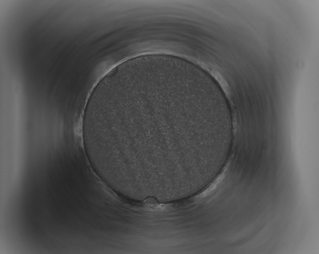 X0000101991529200808011051