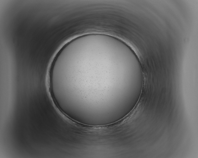 X0000101991531200808011051