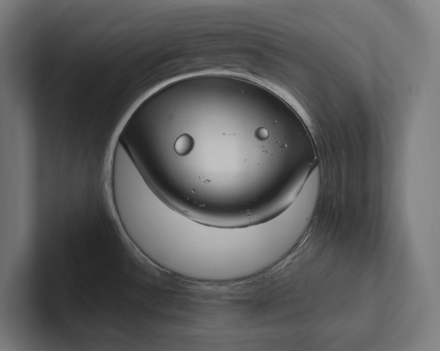 X0000101991532200808011051