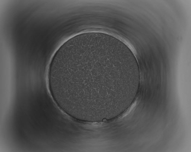 X0000101991533200808011051