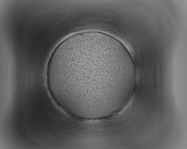 X0000101991534200808011051