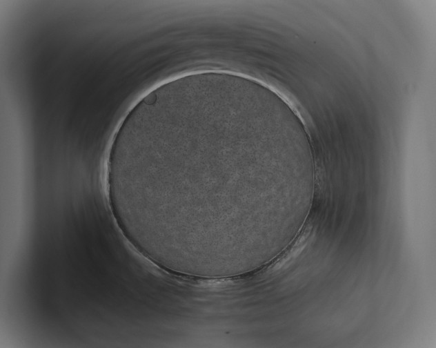 X0000101991535200808011051