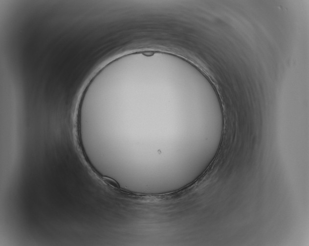 X0000101991536200808011051