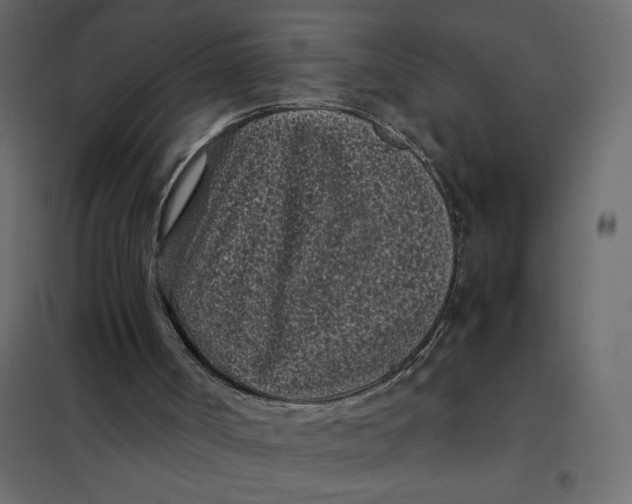 X0000101990002200808081647