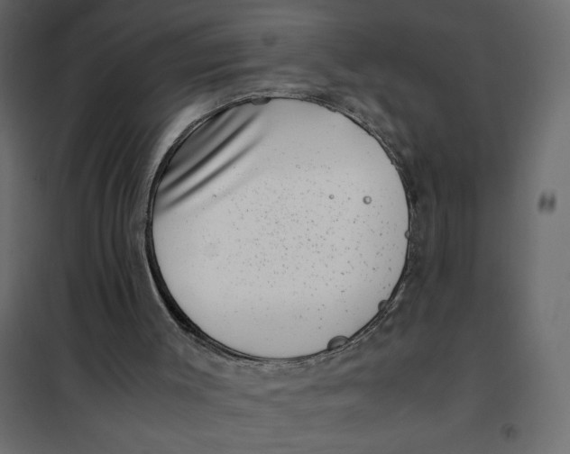 X0000101990003200808081647