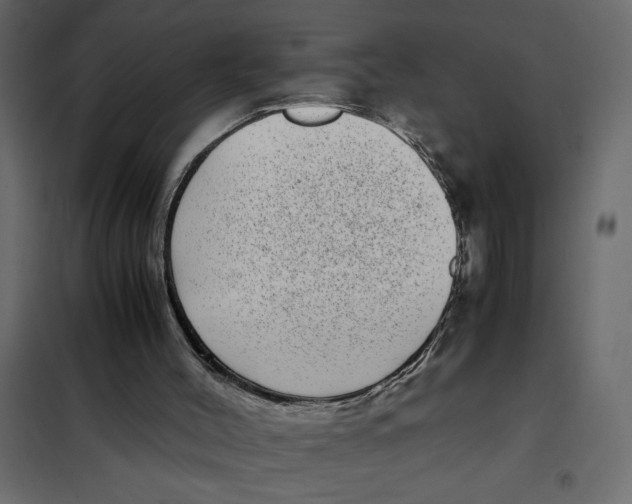 X0000101990004200808081647
