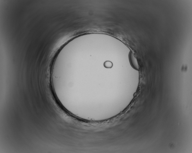 X0000101990005200808081647