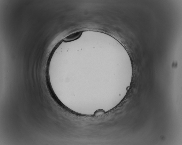 X0000101990007200808081647