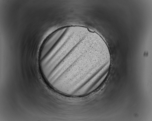 X0000101990008200808081647