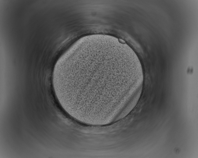 X0000101990009200808081647