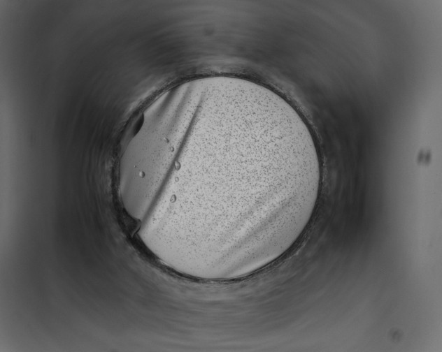X0000101990010200808081647